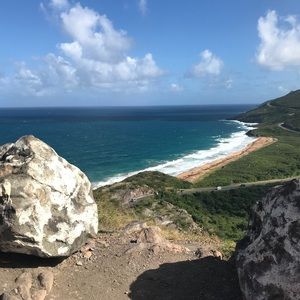 Meet your Posher, Lani